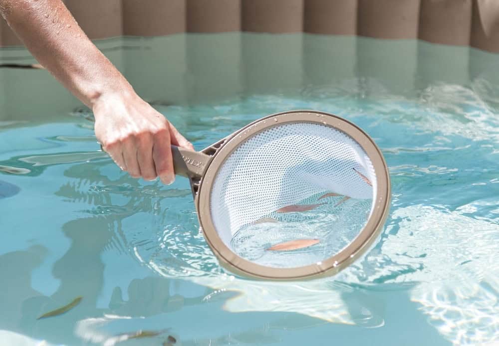 ​Kit pentru intretinere piscina Spa Intex, realizat din PVC, minciog, perie, burete 4