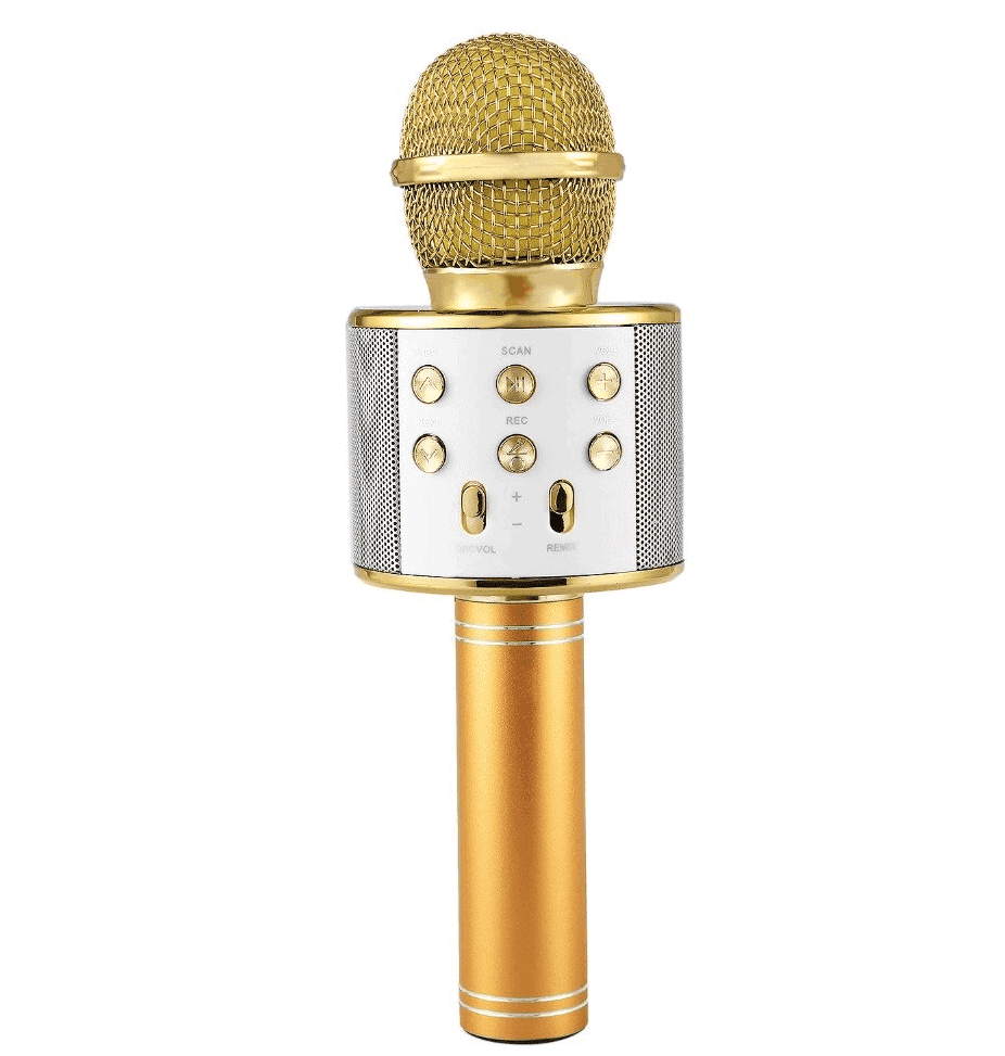 Microfon Karaoke fara fir WS 858 4