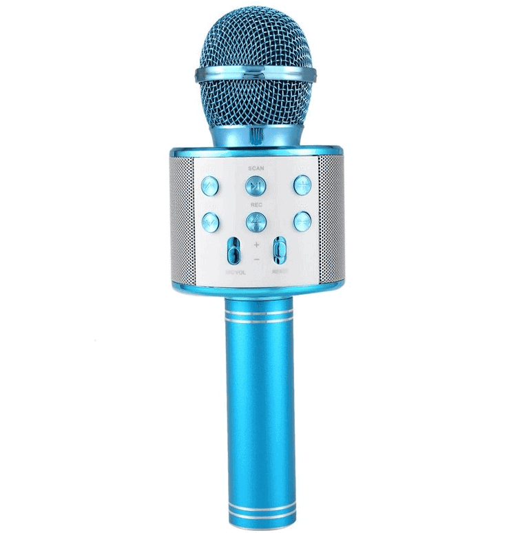 Microfon Karaoke fara fir WS 858 5