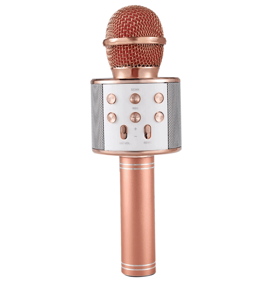 Microfon Karaoke fara fir WS 858 6