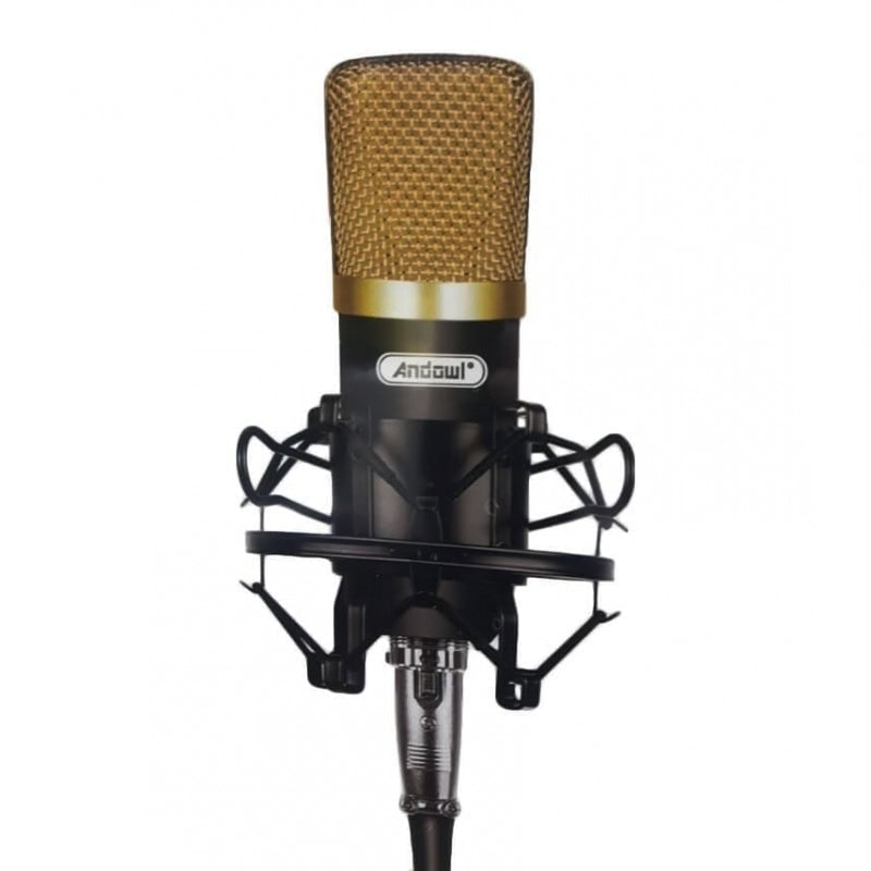 Microfon profesional Q Mic3 3