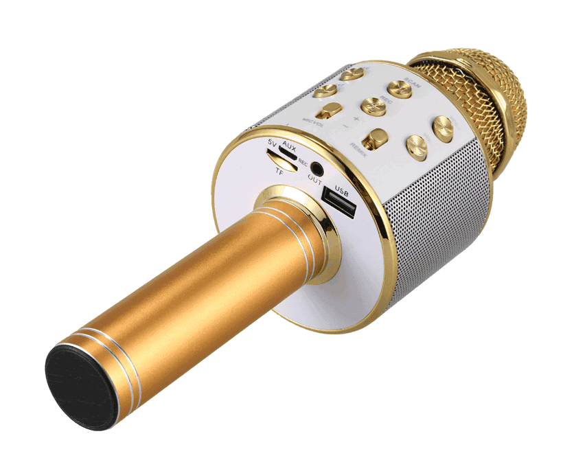Microfon Karaoke fara fir WS 858 8