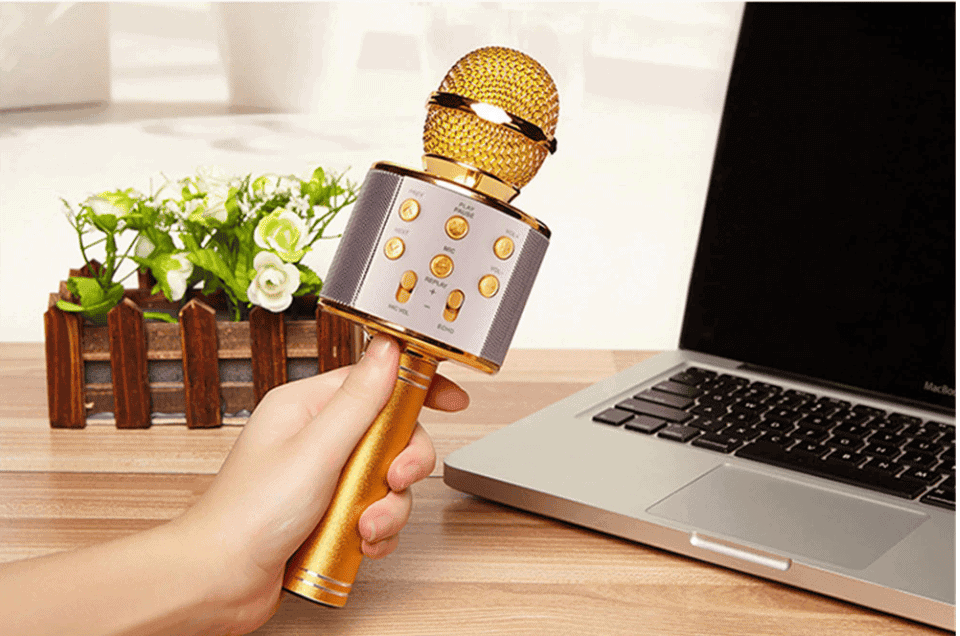 Microfon Karaoke fara fir WS 858 10