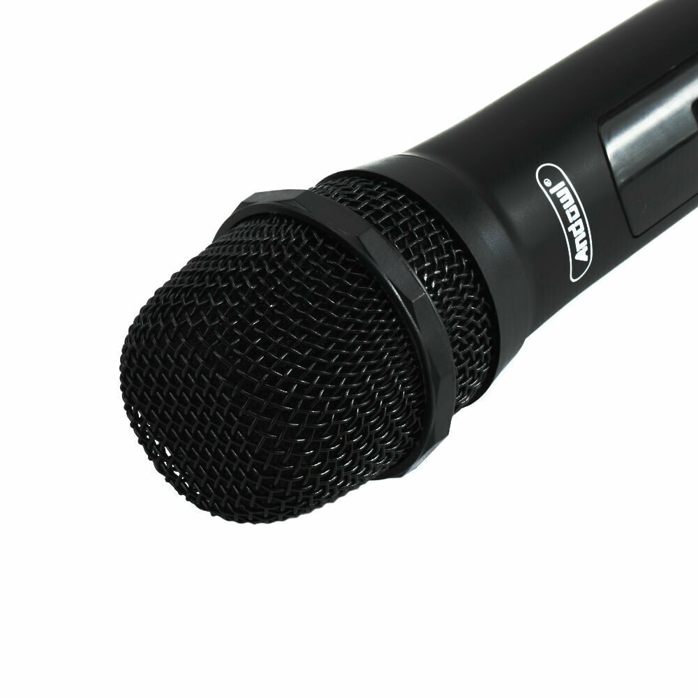 Microfon profesional wireless MIC555, cu receiver 2