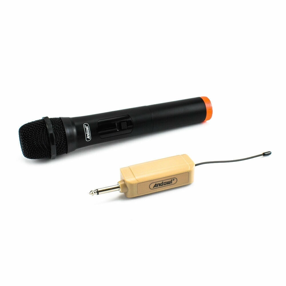 Microfon profesional wireless MIC555, cu receiver 3