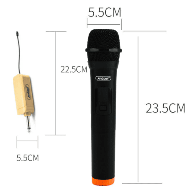 Microfon profesional wireless MIC555, cu receiver 6