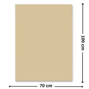 Carton colorat 70 x 100 cm, 220 g/mp, FAVINI, Bej