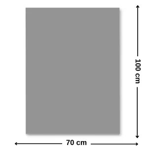 Carton colorat 70 x 100 cm, 220 g/mp, FAVINI, Gri