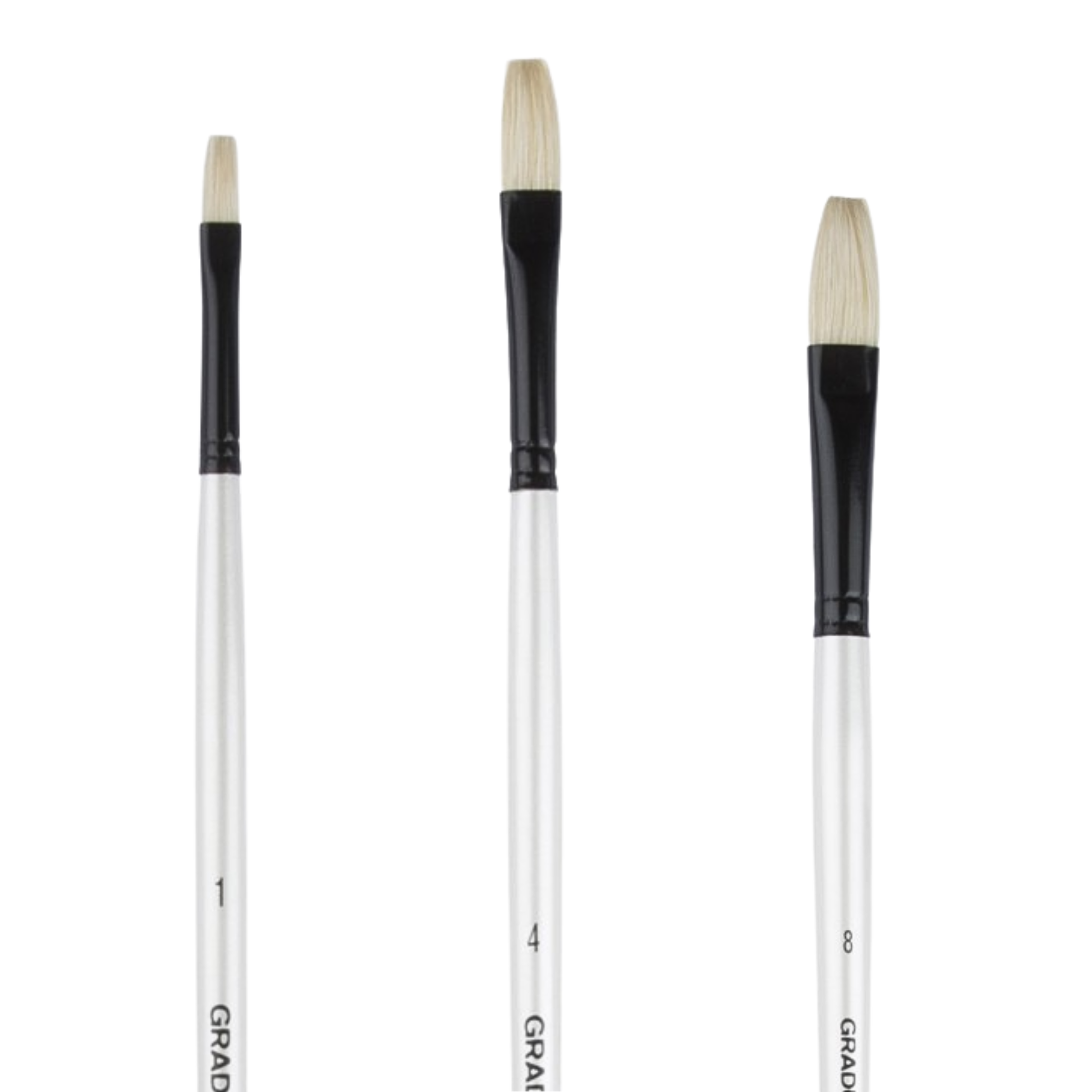 Pensula plata par de porc, diverse marimi, Graduate DALER ROWNEY 2
