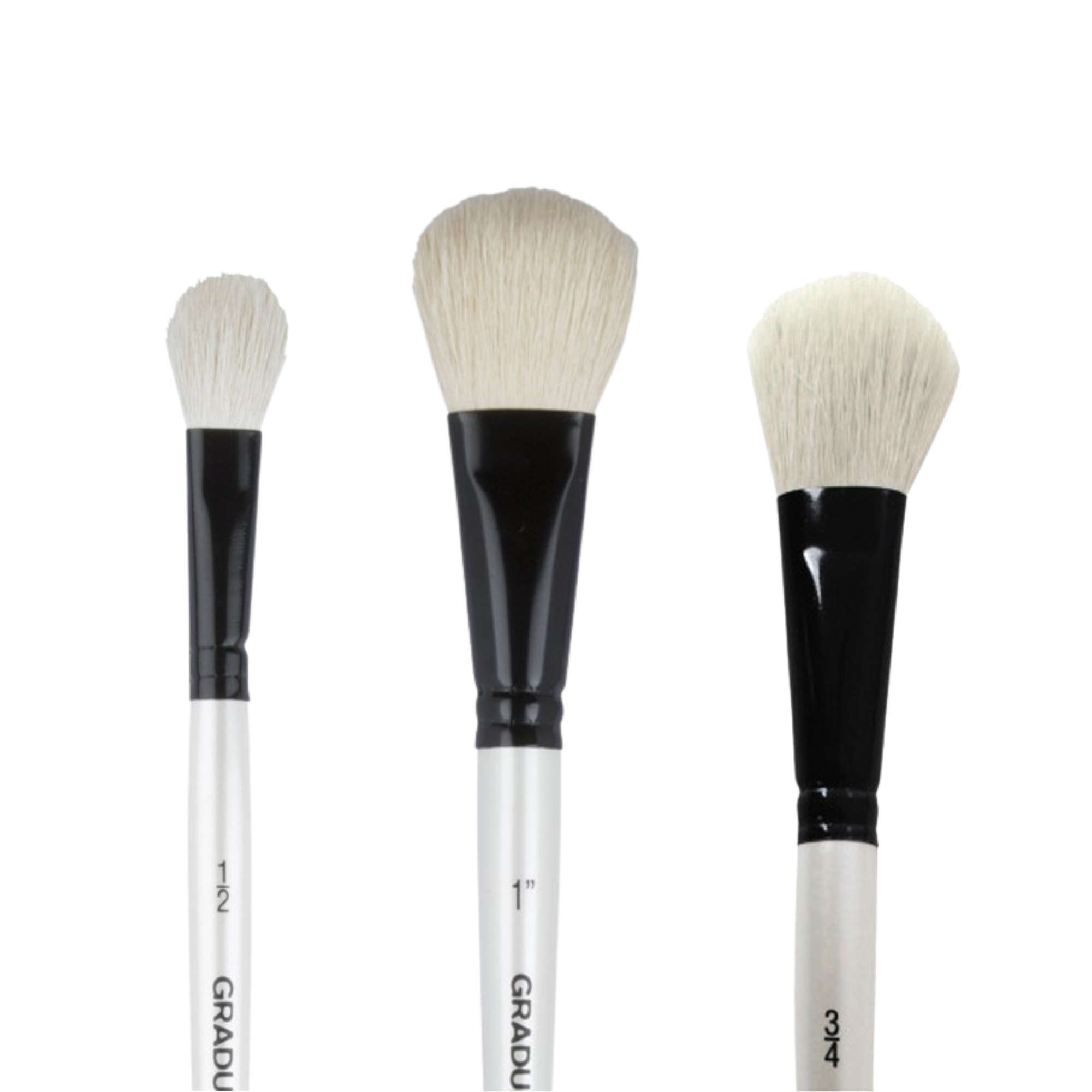 Pensula tip mop cu fir de capra, diverse marimi, Oval Wash Graduate DALER ROWNEY