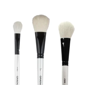 Pensula tip mop cu fir de capra, diverse marimi, Oval Wash Graduate DALER ROWNEY