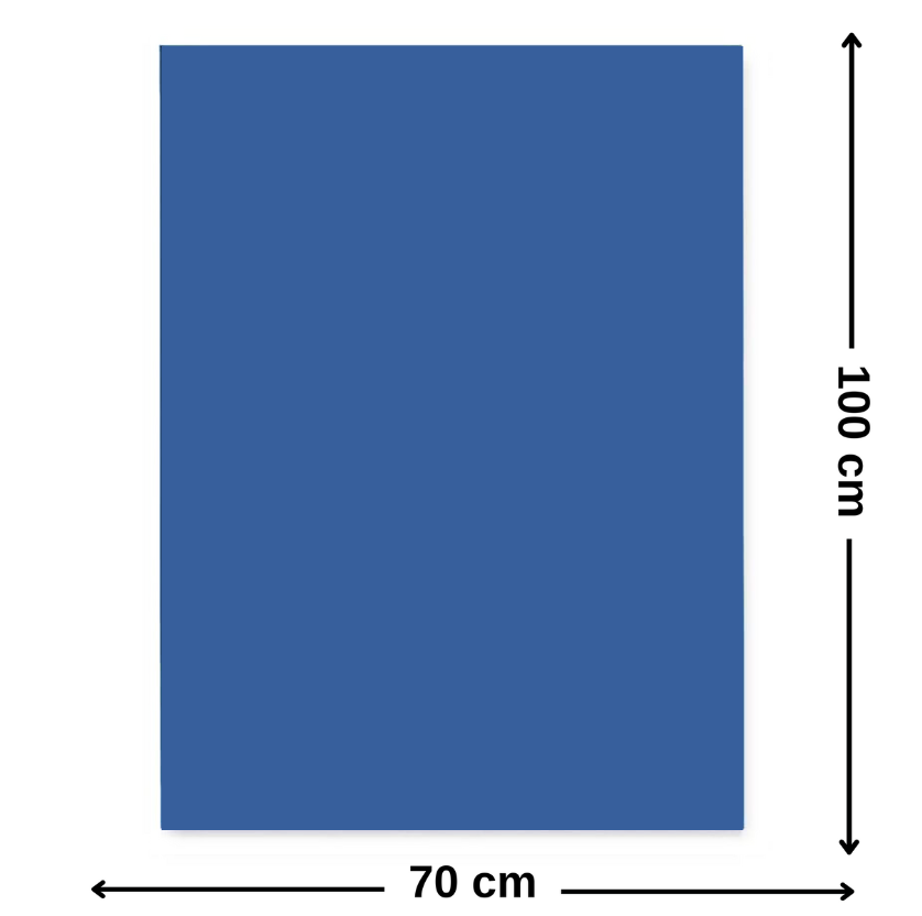 Carton colorat 70 x 100 cm, 220 g/mp, FAVINI, Albastru Safir