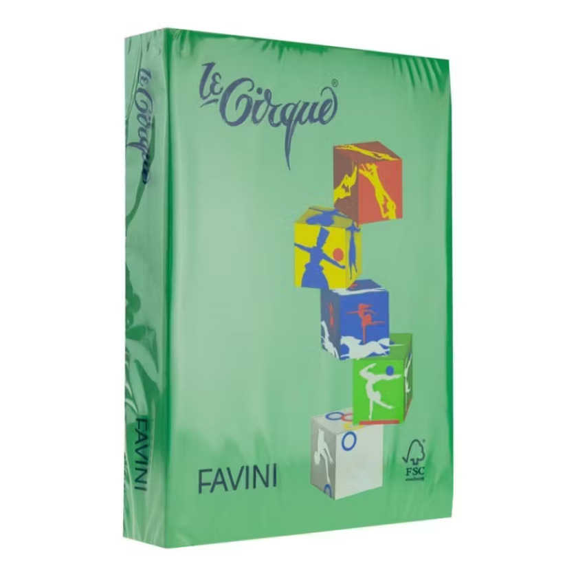 Hartie colorata Verde padure A4, FAVINI, 80 g/mp, 500 coli/top, cod culoare 207