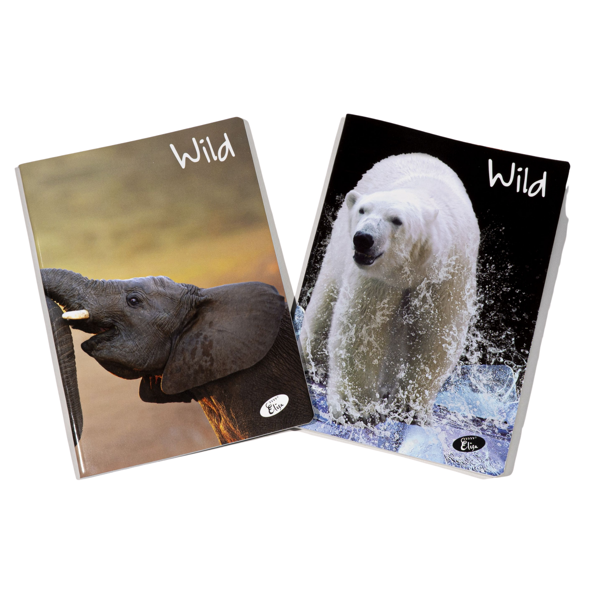Caiet A5, 48 file, matematica, ELISA Wild
