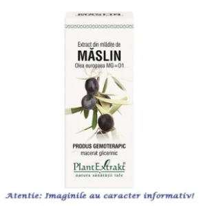Extract din Mladite de Maslin 50 ml PlantExtrakt