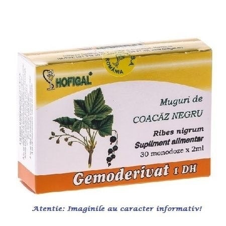 Gemoderivat Muguri de Coacaz Negru 30 monodoze Hofigal