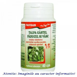 Talpa Gastei, Paducel si Vasc 40 capsule Favisan