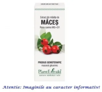 Extract din Mladite de Maces 50 ml PlantExtrakt