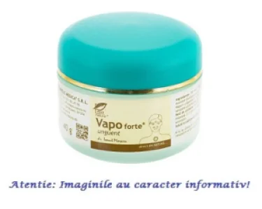Vapo Forte Unguent 40 g Pro Natura
