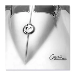 Tablou Canvas - Chevrolet Stingray, masina, vehicul, auto, alb negru