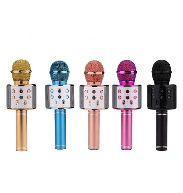 Microfon Karaoke fara fir WS 858