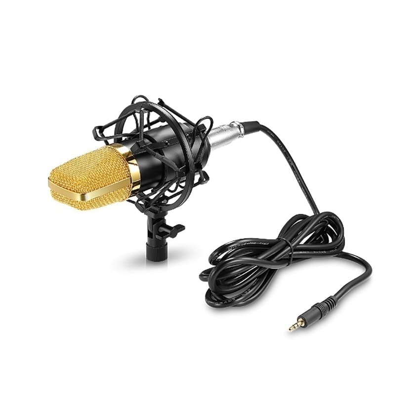 Microfon profesional Q Mic3