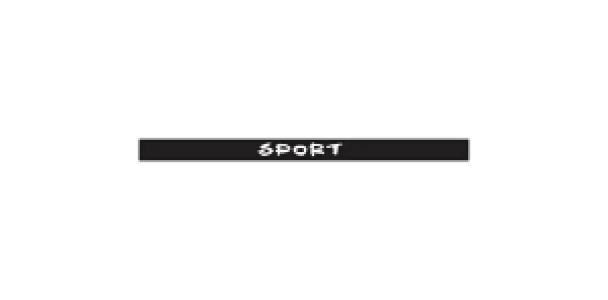 Abtibild parasolar "SPORT" parbriz/luneta  diverse culori Cod: DZ-PRS-SP - Negru DZ-PRS-SP01