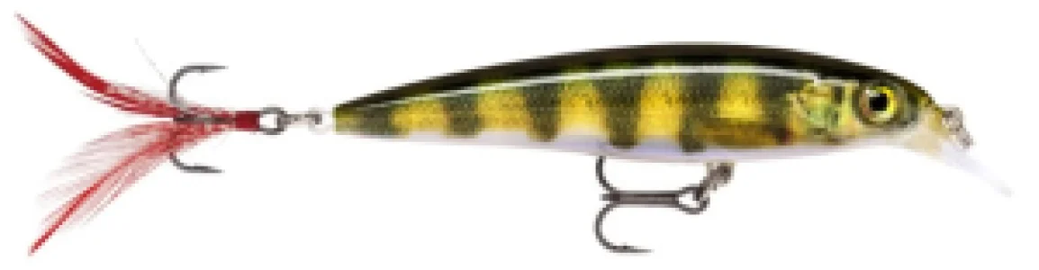 Vobler  Rapala X-Rap XR10