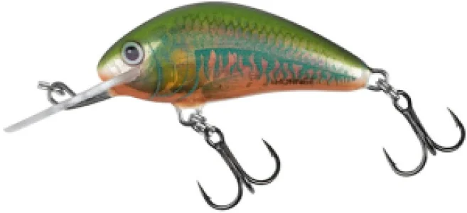 Vobler Salmo Hornet H5F