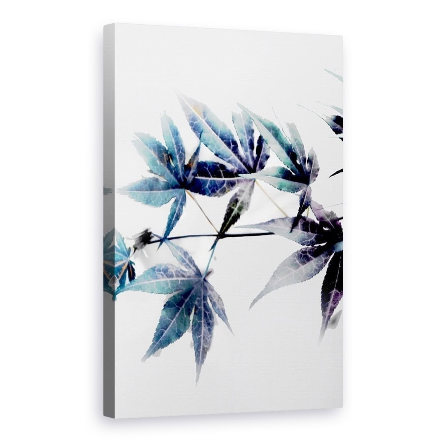 Tablou Canvas - Natura, Planta, Artar Albastru, Pictura II