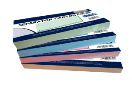 Separatoare biblioraft, 2 perforatii, 100 file/set, PAPERLAND