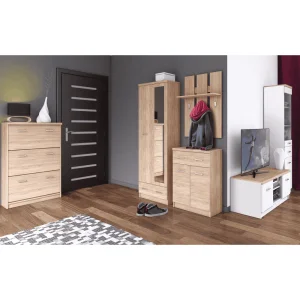 Dulap pentru pantofi 3K, stejar Sonoma, TOPTY TIP 24