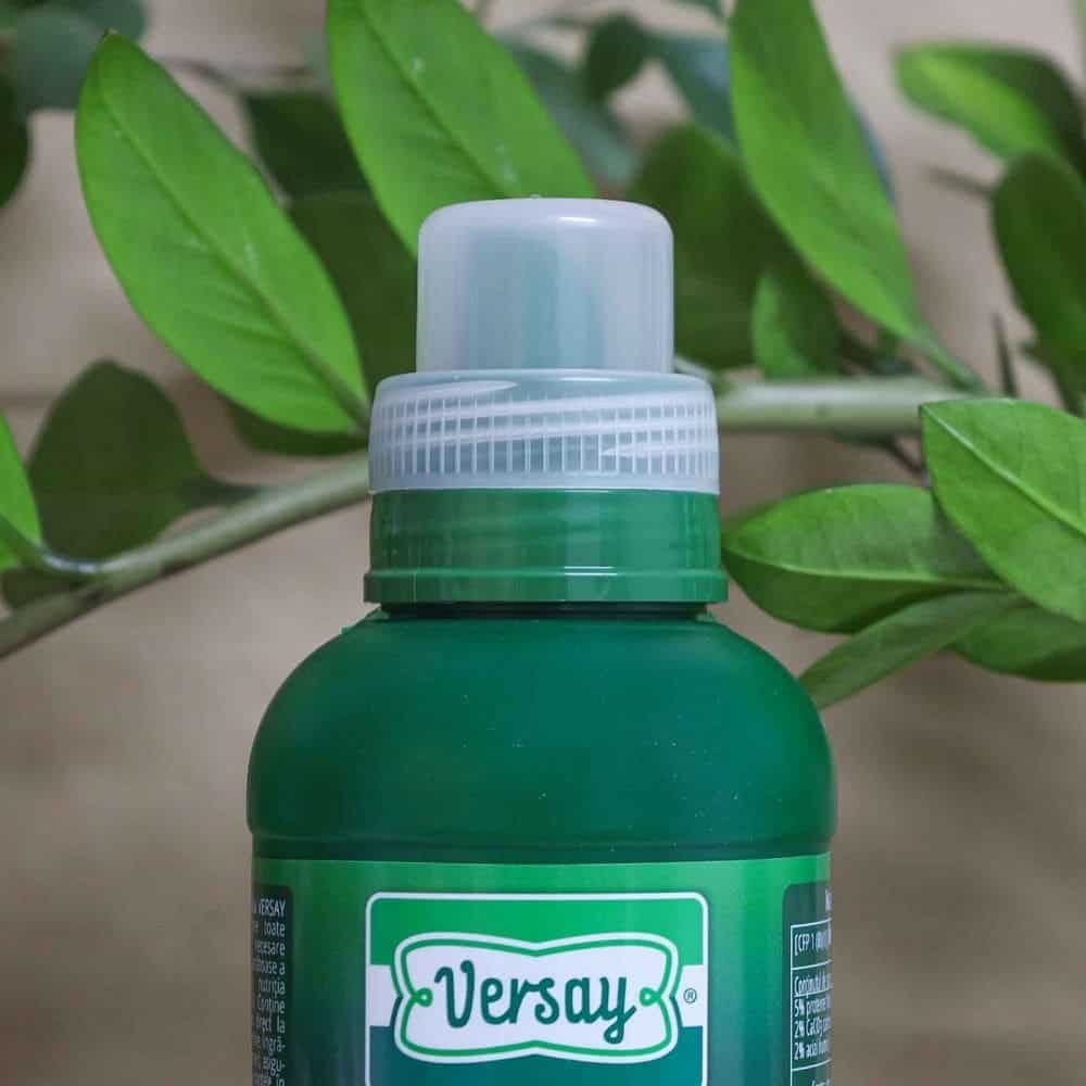 Ingrasamant organic gazon Versay, intensifica culoarea, rezistenta ridicata la seceta/inghet, lichid, 1 L 3